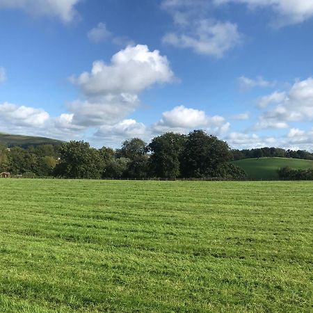 Romantic Rural Break In Countryside Castle Grounds Private Retreat Wizards Rest Bishops Tawton Екстер'єр фото
