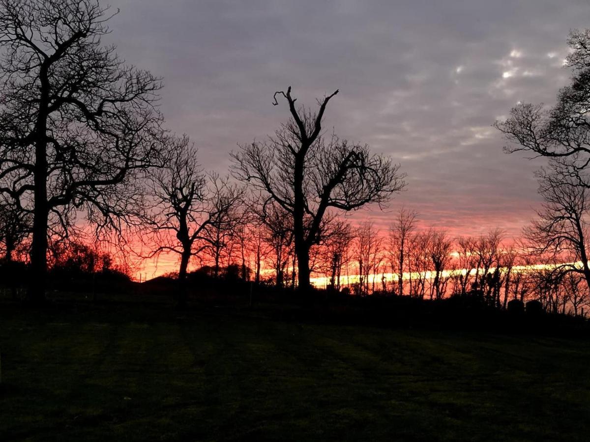 Romantic Rural Break In Countryside Castle Grounds Private Retreat Wizards Rest Bishops Tawton Екстер'єр фото